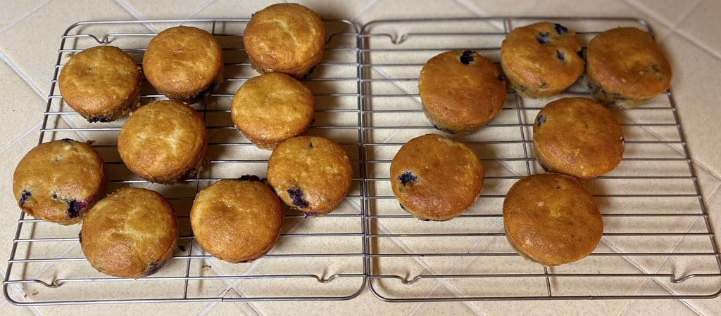 Cannabis Blueberry Muffins